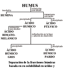 pagina16.htm txt buresgra